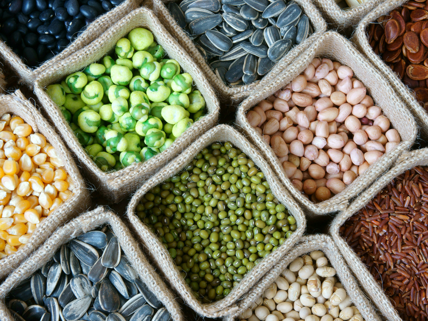 Home & Garden Holland Patent Farmers CoOp