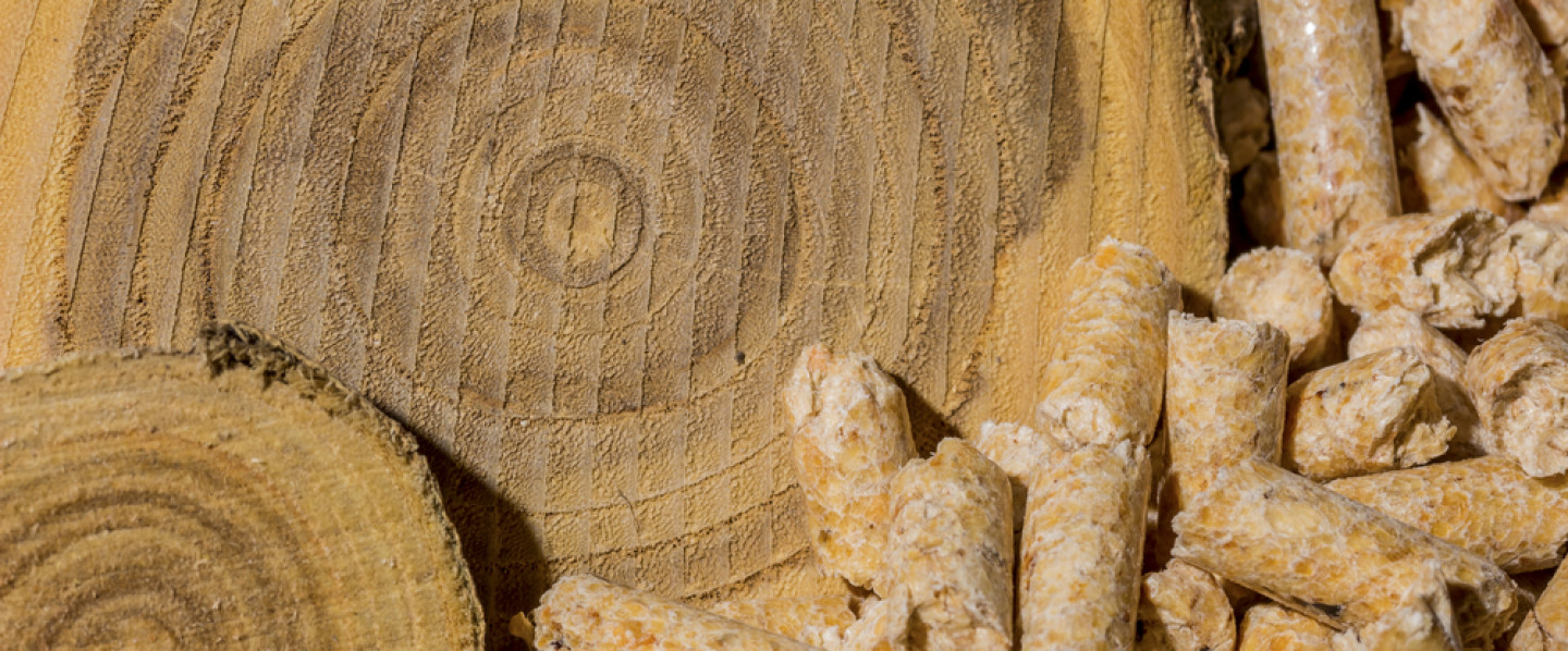 Farm & Livestock Supplies, Fencing, Outerwear, Boots Holland Patent, NY