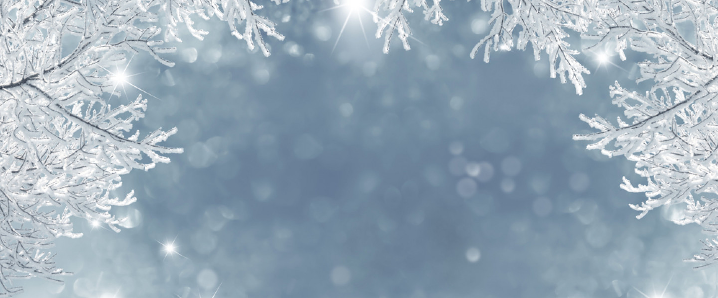 Farm & Livestock Supplies, Fencing, Outerwear, Boots Holland Patent, NY