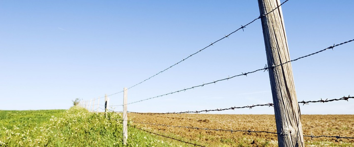 Farm & Livestock Supplies, Fencing, Outerwear, Boots Holland Patent, NY